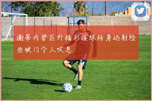 谢蒂内禁区外精彩接球转身远射险些破门令人叹息